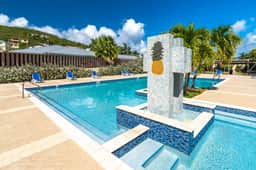 Pineapple Village 3800