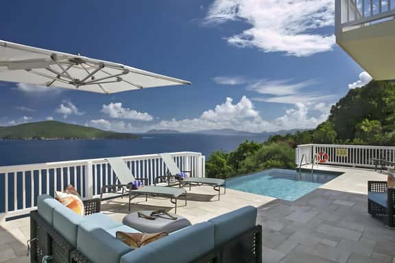 Calypso Delight - Image 1